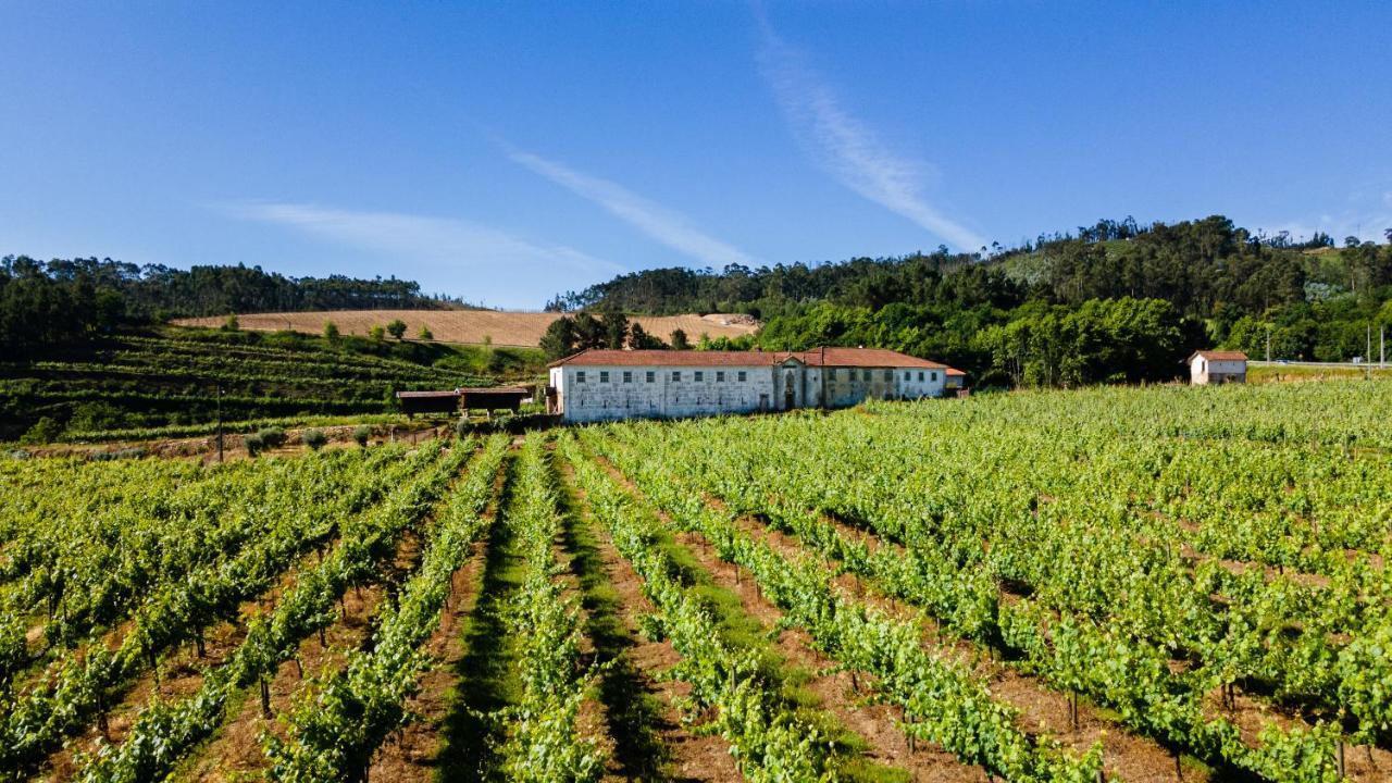 Casas Casal De Nino Villa Celorico De Basto Eksteriør bilde